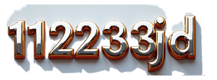 112233jd logo